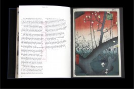 Joon Park – Graphic Designer